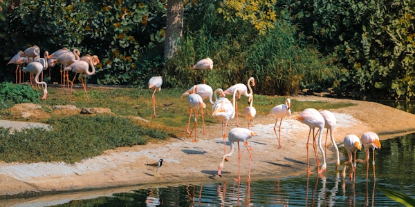 Emirates Park Zoo & Resort