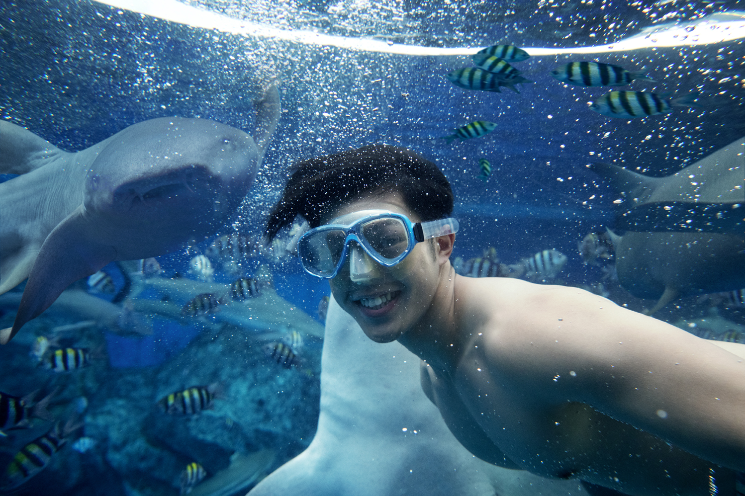 Adventure Cove Waterpark Singapore Special Experiences