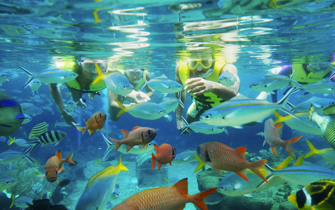 Adventure Cove Waterpark Singapore Accessibility