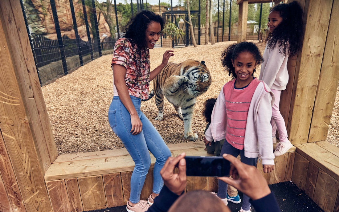 Chessington World of Adventures Resort Chessington Facilites