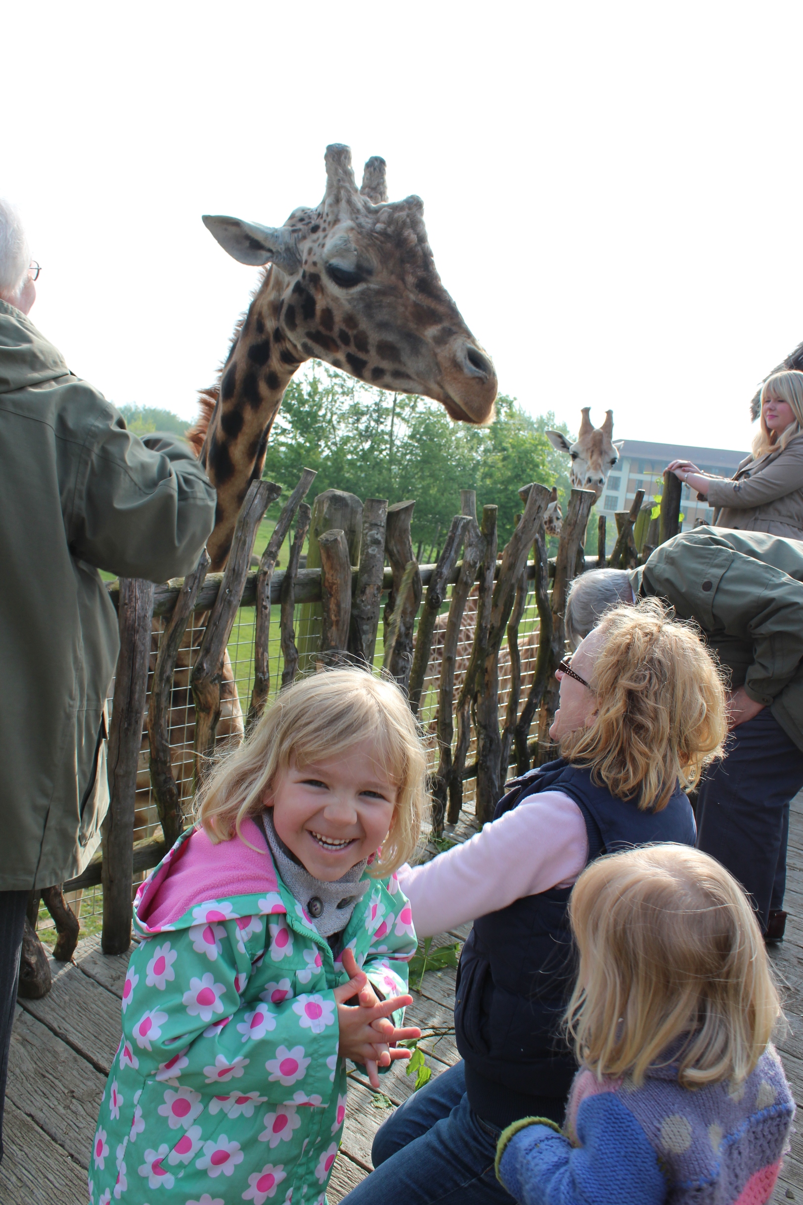 Chessington World of Adventures Resort Chessington Visitor Tips