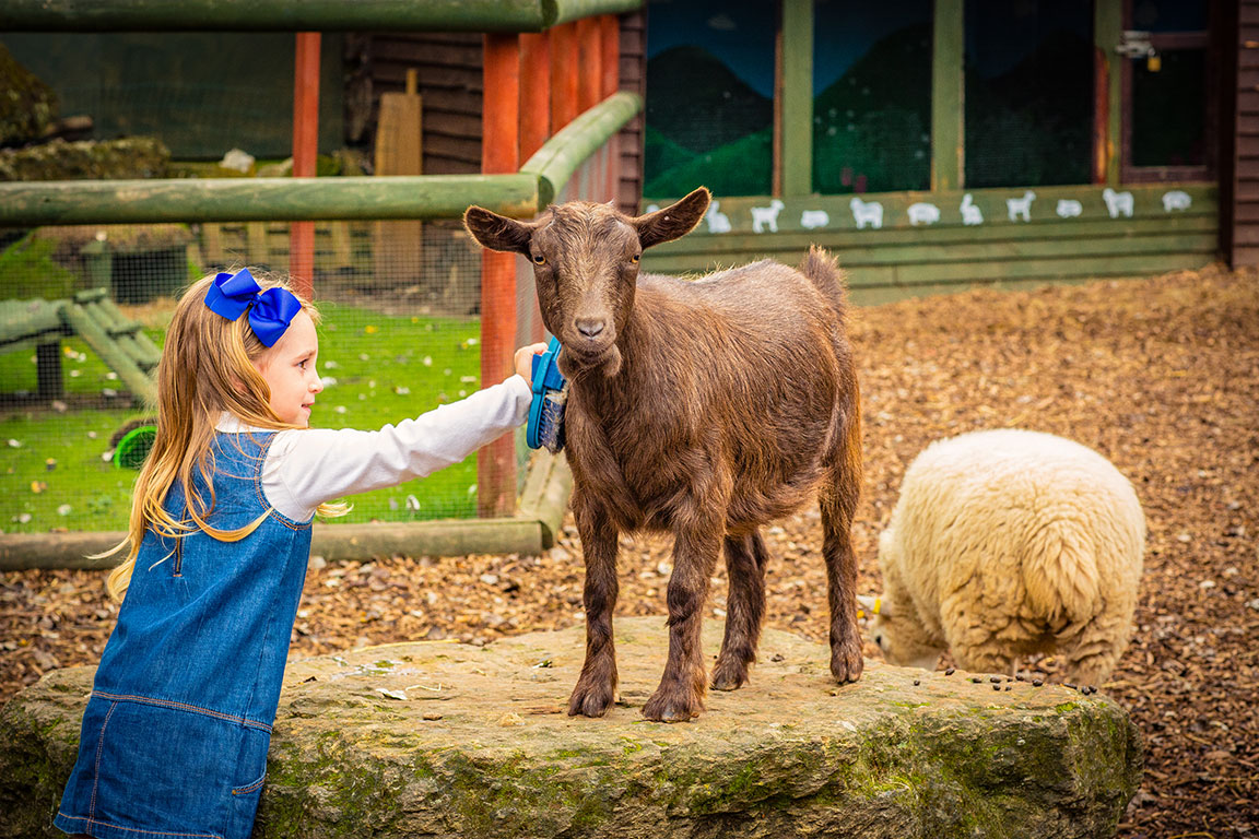 Chessington World of Adventures Resort Chessington VIP Experiences