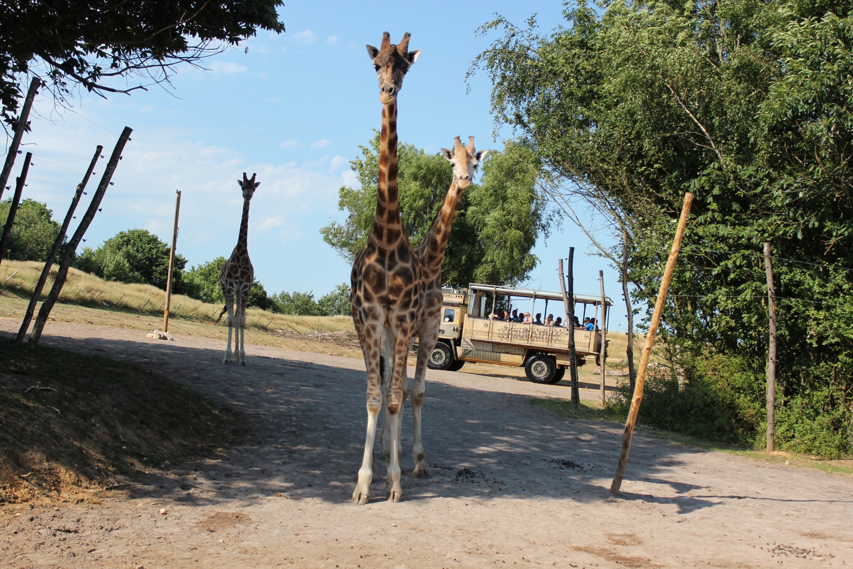 Chessington World of Adventures Resort Chessington Zoo & SEA LIFE