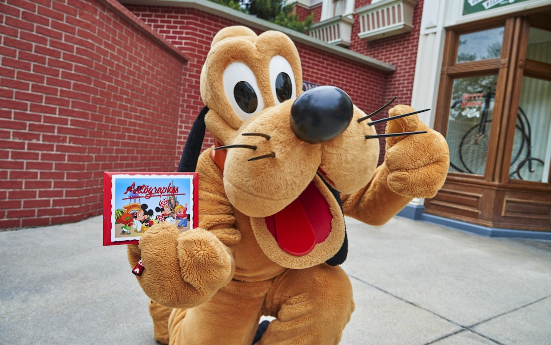 Disneyland Paris Park Rules