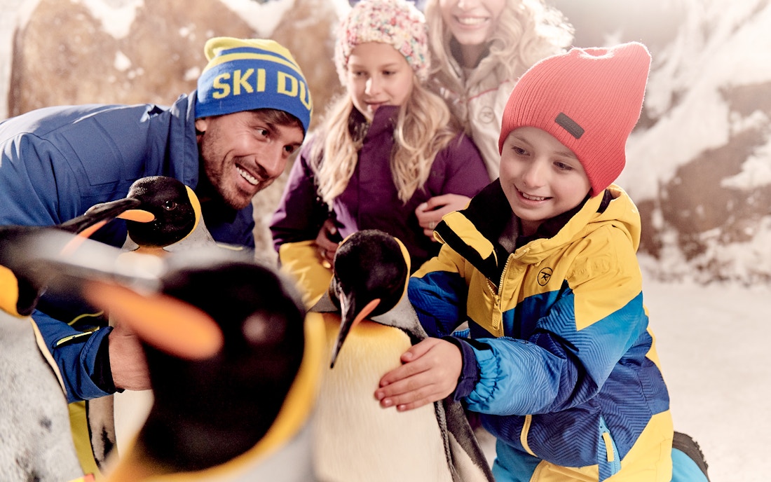 Ski Dubai Dubai Visitor Tips