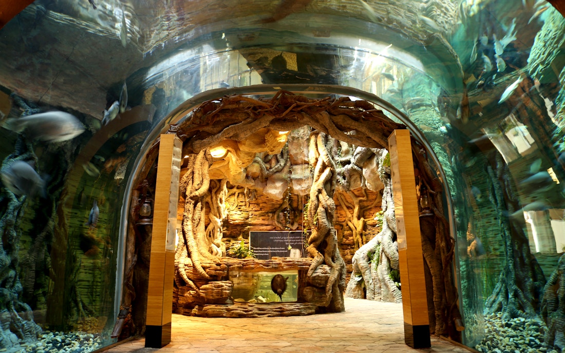 The Green Planet Dubai Opening Hours