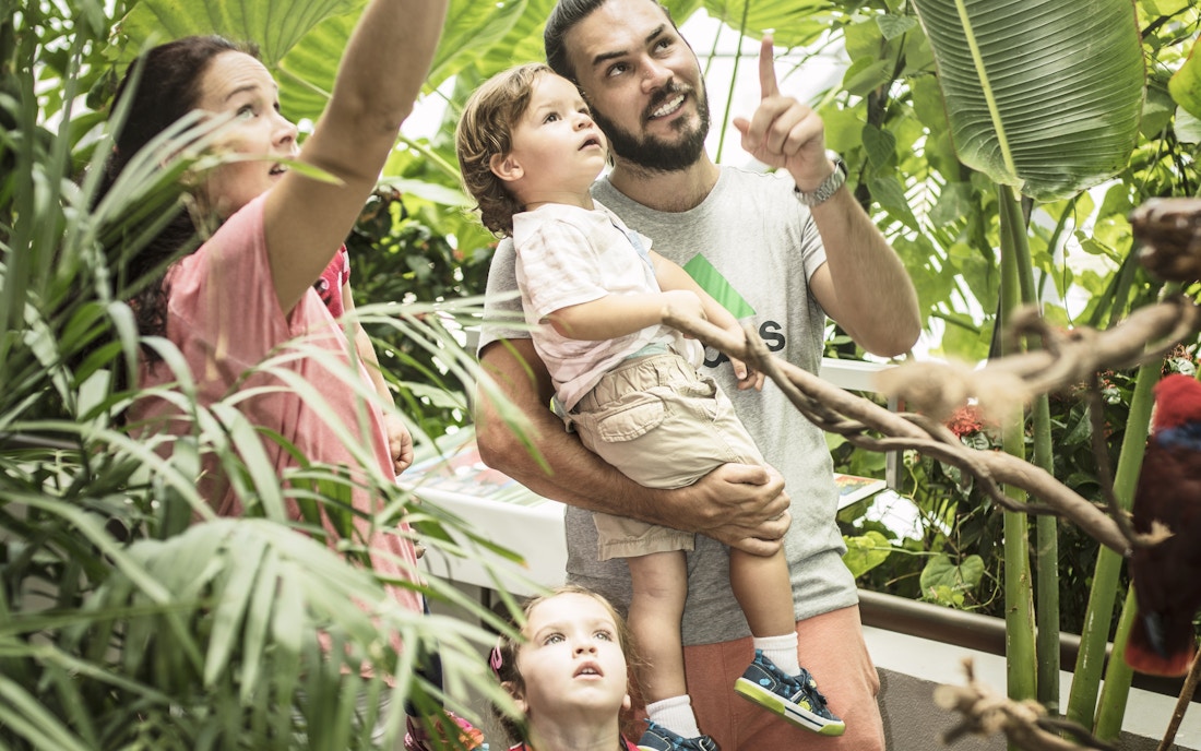 The Green Planet Dubai Visitor Tips