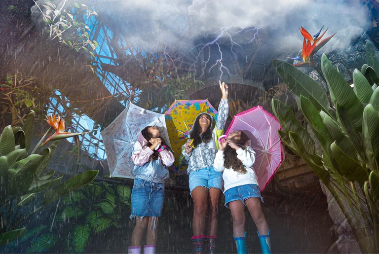 The Green Planet Dubai Other Experiences