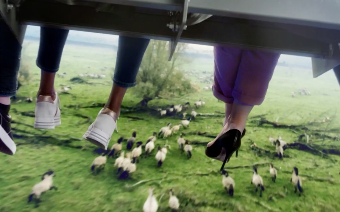 This is Holland Amsterdam Park Rules