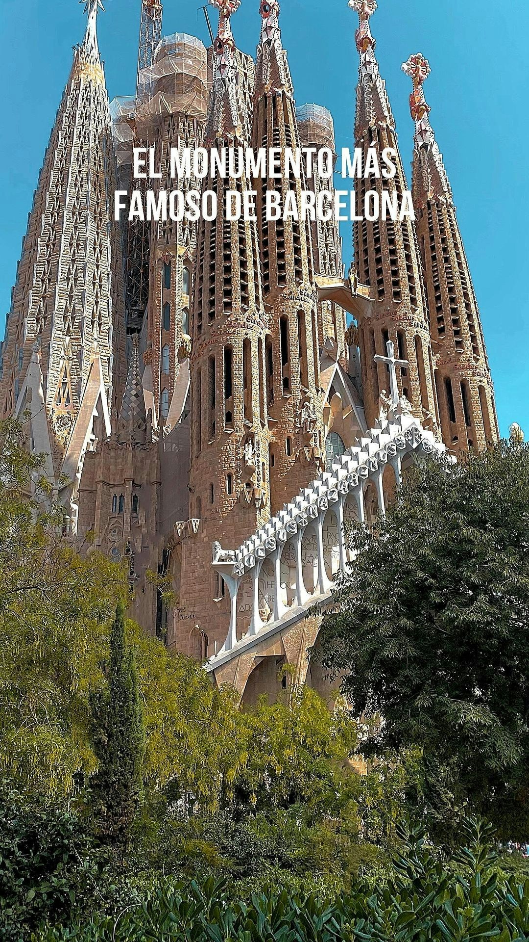 El monumento más famoso de Barcelona 🧡
📍Sagrada Família (Barcelona, Cataluña) es una obra construida por Antonio Gaudí.
🗓️ Construcción iniciada en 1866. Pero, en 1883 fue cuando Gaudí asumió el proyecto, que finalmente en 1914, decidió dedicarse íntegramente hasta el día de su muerte.
🏛️ Cuenta con 18 torres. La torre del medio, representa a su madre, y las 12 torres restantes representan a los 12 apóstoles.
🗼 Puedes subir a las torres para obtener una vista impresionante de la ciudad. Ten en cuenta que, son entradas separadas.
⚡️ Tres fachadas monumentales que representan los tres momentos de la vida de Jesucristo: Nacimiento | Pasión, muerte y resurrección | Gloria, presente y futura.
🌈 Los colores de las vidrieras producen todo un espectáculo. Fueron diseñados en función de cómo entra la luz en cada momento del día.
🙌🏼 Su estructura más curiosa es posiblemente la cripta. Además, es donde está enterrado Antonio Gaudí.
❗️A diferencia de otras atracciones turística de Barcelona, esta permanece abierta los lunes. ¡Planifica tu visita en lunes y evita las multitudes!
🌞 Visítala durante la puesta de sol para conseguir mejores fotos y enamorarte del monumento en el crepúsculo.
_______________________________________
¿Cómo puedes aprovechar al máximo tu visita?
1️⃣ Puedes comprar las entradas sin colas de @headout. Con nuestro código 𝐂𝐔𝐑𝐈𝐎𝐔𝐒𝟏𝟎, tienes un 10% de descuento en cualquier experiencia suya.
2️⃣ Puedes elegir las entradas con visita guiada (1h) para obtener una mejor visión de esta obra tan fascinante.
3️⃣ Después de la visita guiada, puedes hacer el recorrido tranquilo por todo el recinto y podrás estar el tiempo que quieras.
_______________________________________
.
.
.
#sagradafamilia #sagradafamília #sagradafamiliabarcelona #barcelona #barcelonacity #turismecatalunya #turismebarcelona #barcelonaturisme #headoutinbarcelona #letsheadout
#catalunya #catalunyaexperience #cataluña #planesbarcelona #parcguell #parkguell