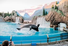 Seaworld Abu Dhabi