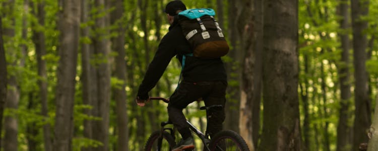 Amsterdam To keukenhof