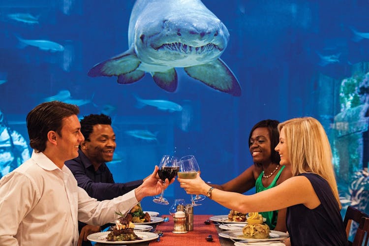 Sleepovers  Georgia aquarium