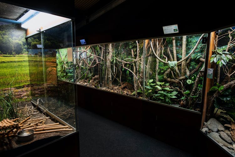 Cairns Aquarium 