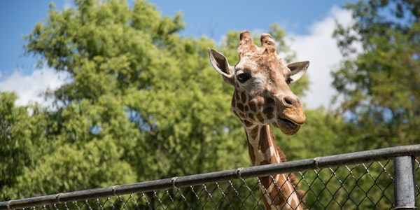 Emirates Park Zoo & Resort