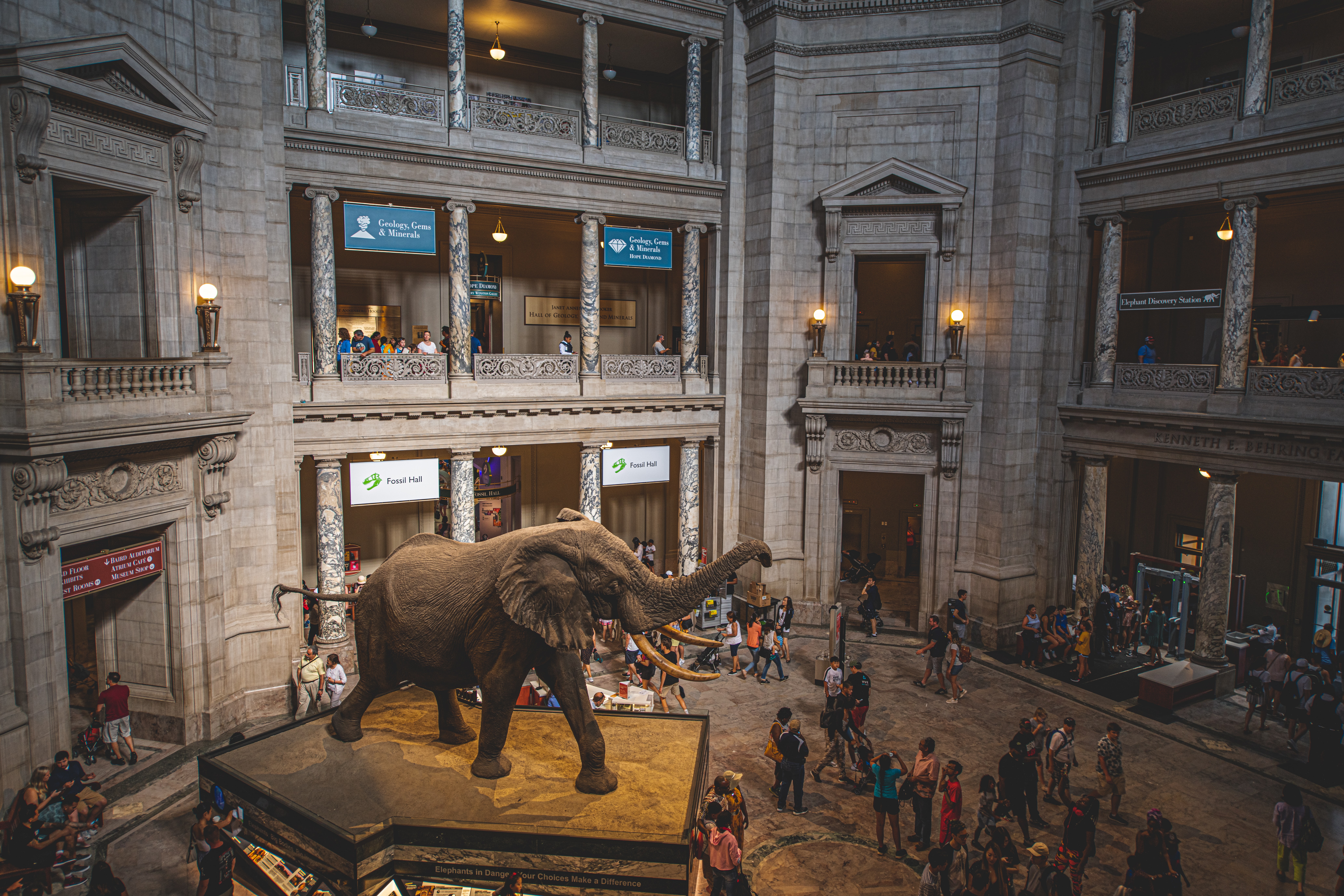 20 Virtual Museum Tours To Travel The World From Your Couch | Armchair ...