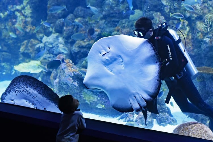 Aquaria KLCC