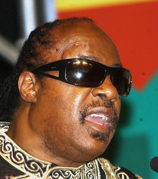 Best Vegas Shows - stevie wonder