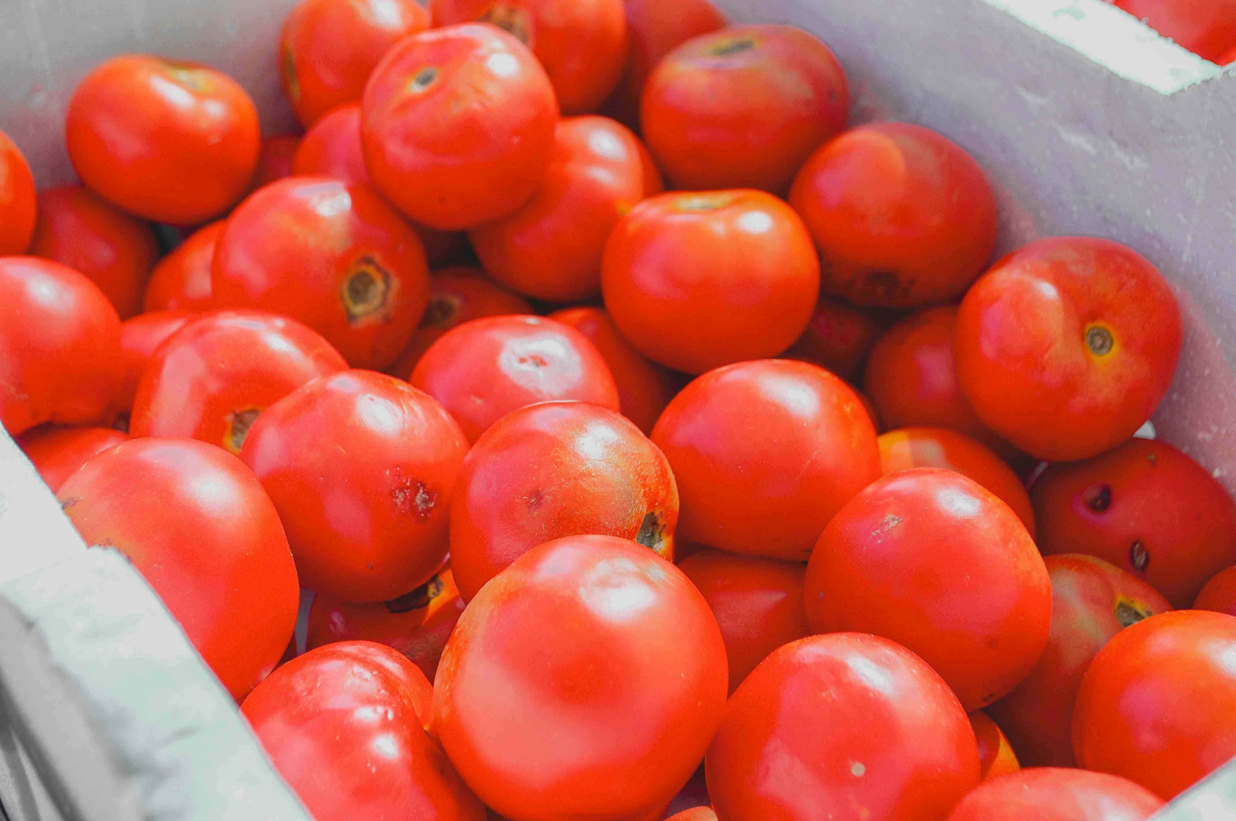 date ideas in melbourne farmers market