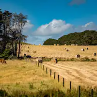 great ocean road experience