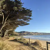 great ocean road experience