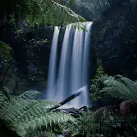 great ocean road experience