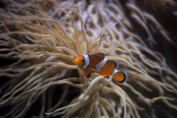 Melbourne Aquarium