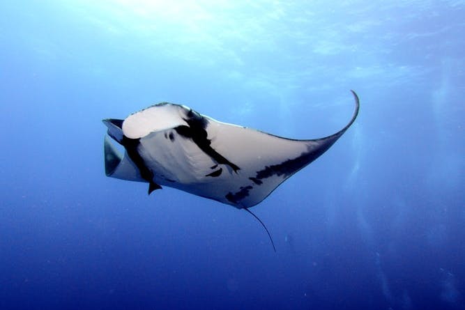 SEA Life Melbourne Aquarium