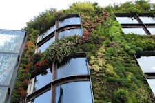 Best Museums in Paris - Quai Branly - 3