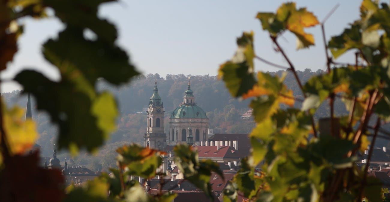 things to do in old town prague