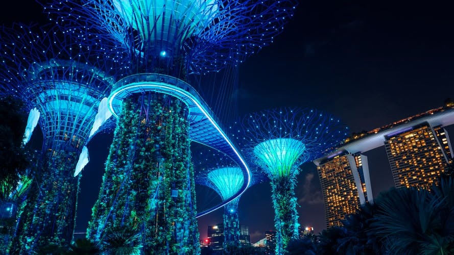 gardens by the bay light show