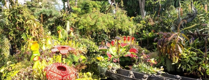 Gardens By The Bay Singapore
