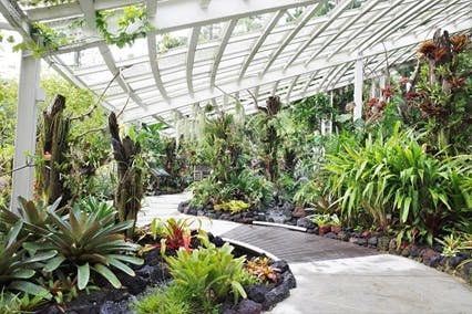 National Orchid Gardens