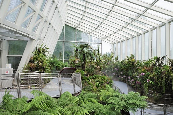 National Orchid Gardens