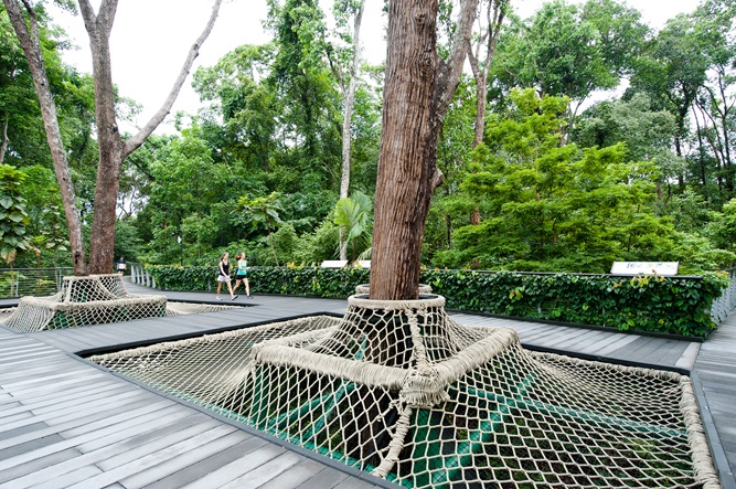 National Orchid Gardens