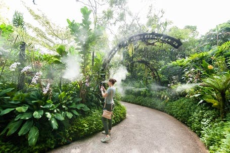 National Orchid Gardens