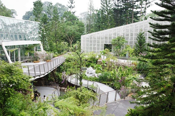 National Orchid Gardens