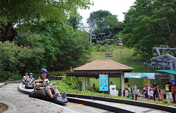 Sentosa Luge and Skyride Sentosa