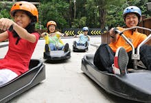 skyline luge