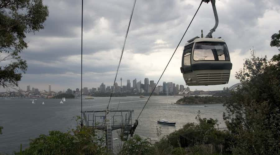 Taronga Zoo Sydney-Sky Safari