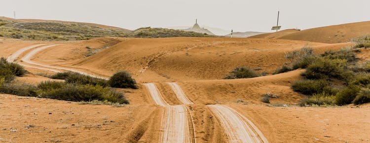 Gobi desert