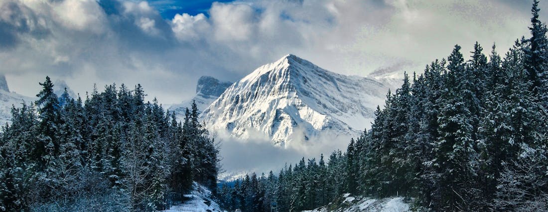 icefields parkfield