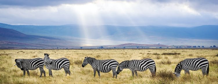 solo travel 2022 - tanzania