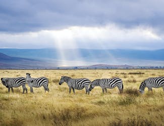 tanzania - solo travel