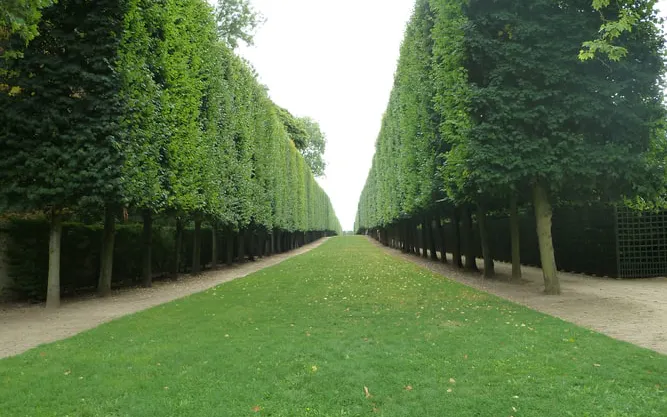 Versailles Gardens