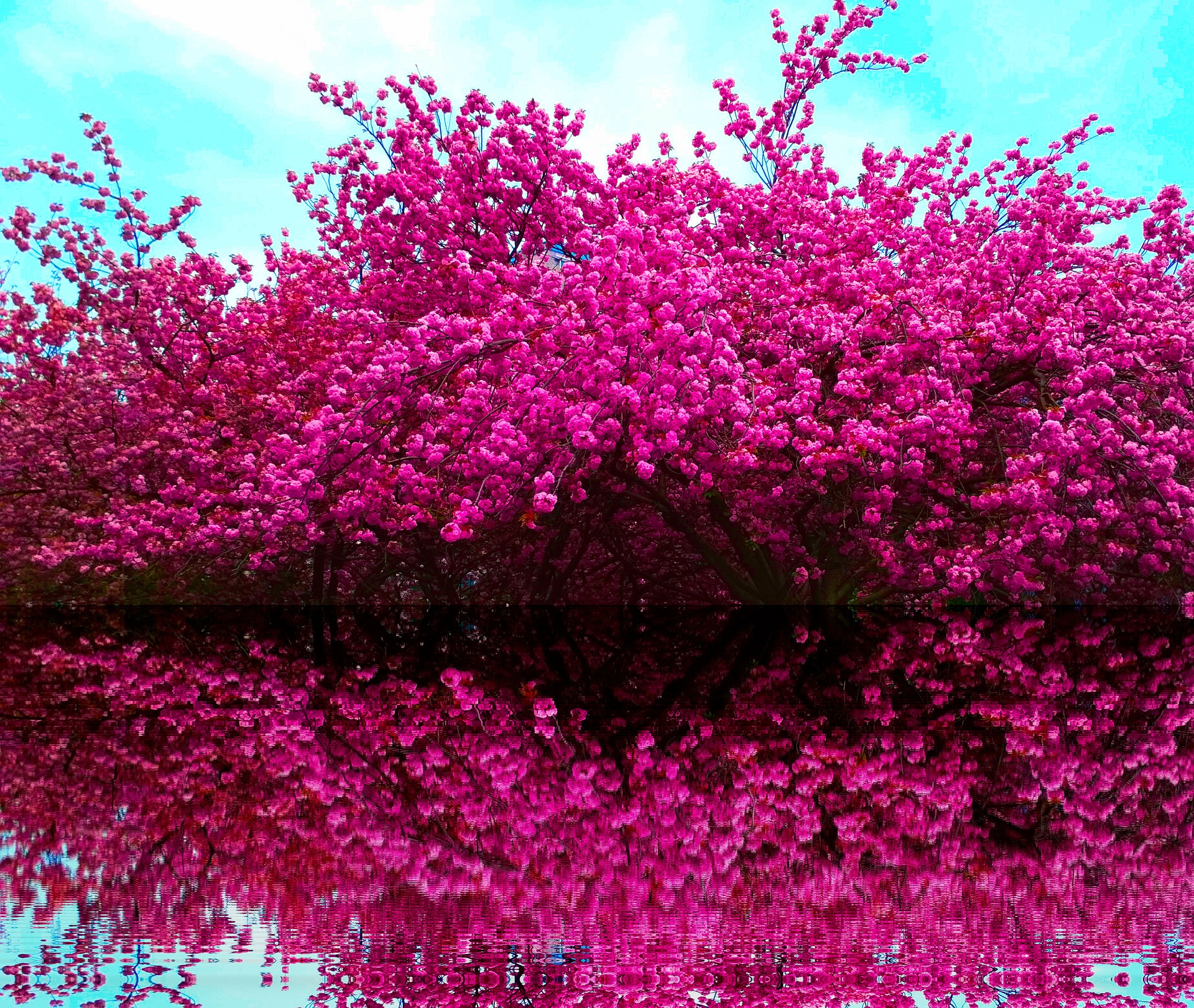 Prague to Karlovy Vary