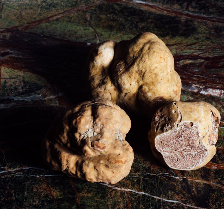 Florence to Tuscany Day Trip_Truffles