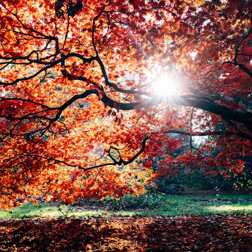 London to Cotswolds Attractions