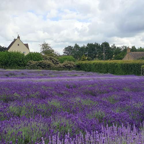 London To Costwolds Highlights