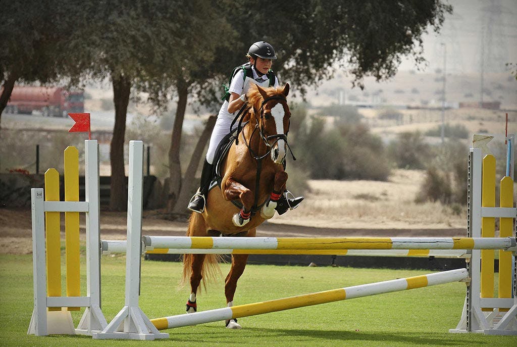 Dubai Horse Riding School - 2